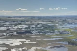 Se agravó el desastre de los campos bajo el agua en un partido bonaerense