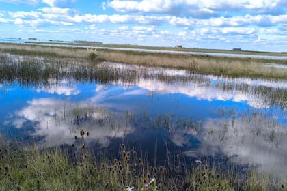Provincia: 5 millones de hectáreas sembradas fueron afectadas por las lluvias - Image 3