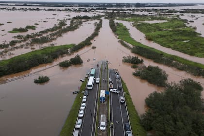 En Brasil, la Compañía Nacional de Abastecimiento (Conab), el organismo oficial que monitorea las campañas agrícolas en ese país, por las inundaciones, “en lugar de bajar, subió la proyección de cosecha en algo más de 1 millón de toneladas, a casi 148 millones de toneladas: por un aumento de área en otras zonas compensó la merma en el sur, especialmente en el estado de Ro Grande do Sul"
