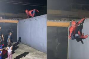 La impensada reacción de un grupo de niños cuando “Spider-Man” entra a un cumpleaños