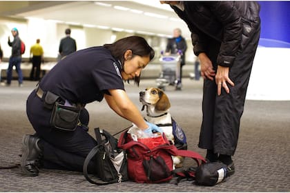 En Brownsville y Veterans, dos ciudadanos estadounidenses fueron detenidos al intentar cruzar a México con más de US$107 mil sin declarar