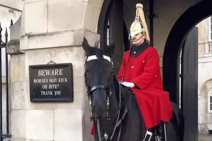 En Buckingham hay letreros para evitar que los visitantes se acerquen a los caballos y a los soldados
