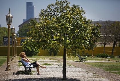 En Buenos Aires hay pocos árboles, pero proporcionalmente más que en Bogotá, Nueva York o Barcelona