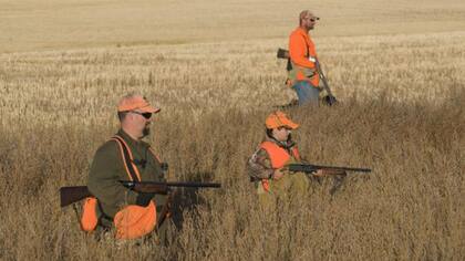 En Buenos Aires se pueden cazar animales casi sin límites