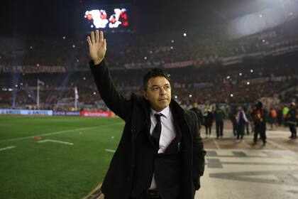 En cada partido, los hinchas de River ovacionan al entrenador que lleva cinco años dirigiendo al equipo: Marcelo Gallardo.