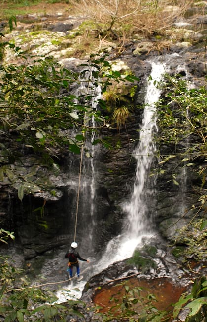 En cada rincón de la selva y el parque nacional, tenés una oportunidad de abrirte a la aventura.