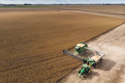 En campo propio, la soja de primera proyecta márgenes de 445 dólares por hectárea, incluso levemente superiores al maíz, que arroja 437 dólares