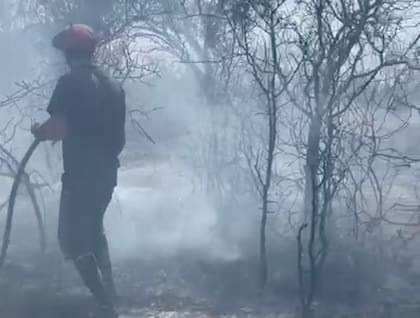 En Carbap, su vicepresidente segundo, Marcelo Rodríguez, confirmó la gravedad del escenario: “Ya son más de 130.000 hectáreas quemadas. Hay focos que se controlan y otros que se reavivan por las tormentas eléctricas sin lluvias”