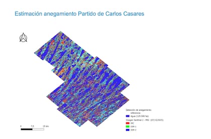 En Casares, unas 129.500 hectáreas se encontraban anegadas sobre un total de 253.174 hectáreas bajo observación