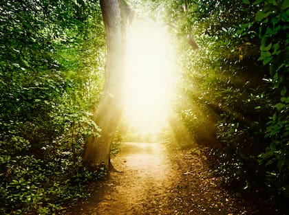 En casi la mayoría de los testimonios hay muchos detalles en común