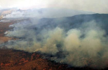 En caso de convertirse en ley, eliminaría la prohibición de comercializar campos incendiados por entre 30 y 60 años.