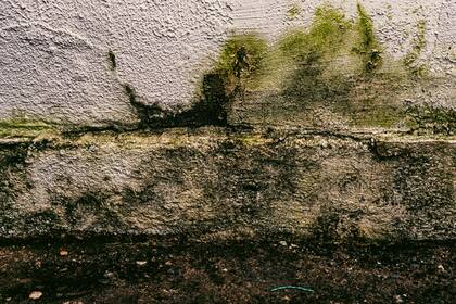 En casos extremos se recomienda directamente acudir a un especialista