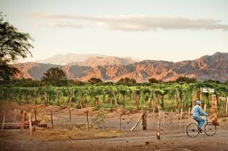 De La Rioja a Tucumán, una Ruta del Vino alternativa en el Noroeste