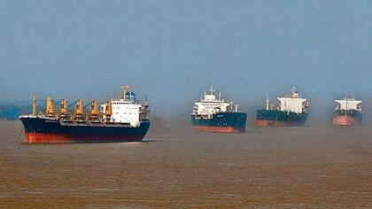 La utilización de biocombustibles en ese sector será libre y el precio estará determinado por la negociación sin regulación entre los actores privados