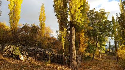 En Chaupiñan, al pie del Parque Provincial Altas Cumbres Calchaquies, a 2700 msnm, están construyendo su segundo emprendimiento ecológico.