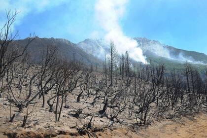 En Chubut ya fueron arrasadas más de 30.000 hectáreas por el fuego, que ahora mantiene en vilo al Parque Nacional Los Alerces