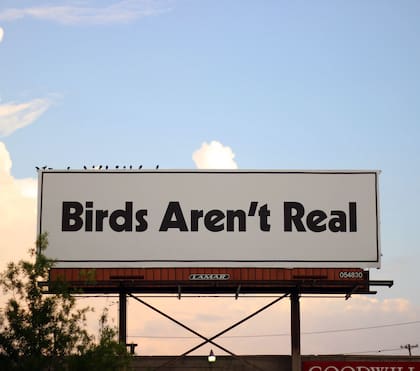En ciudades de EE.UU. aparecieron carteles publicitarios que declaran: “Los pájaros no son reales”. (Peter McIndoe via The New York Times)
