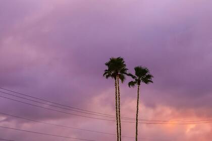 En ciudades del norte de Florida podrían presentarse las primeras heladas