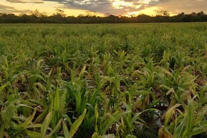 En Colonia José Mármol se acumularon 140 mm
