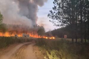 Incendios en Corrientes: piden derogar una normativa que perjudica a los productores