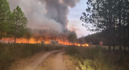 En Corrientes ya se quemaron casi 800.000 hectáreas, un 10% de la superficie de la provincia