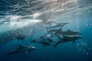 En Costa de Marfil exhuman a familiares ante el avance del mar que engulle cementerios