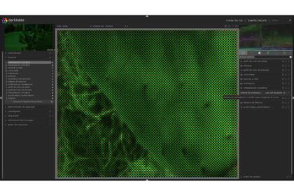En crudo, la información que entrega el filtro de color del sensor