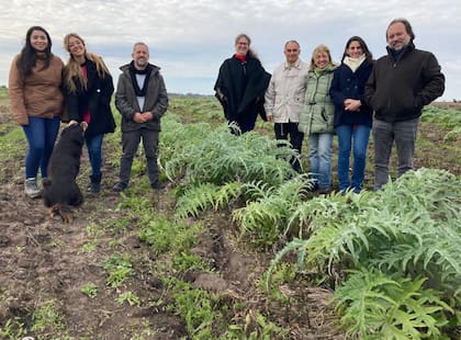 En cuanto al uso de agroquímicos en el cultivo, cuentan que elaboran un protocolo de producción junto a la Sagyp