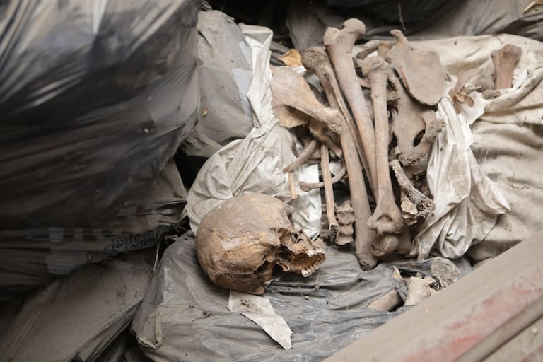 Macabro hallazgo: la Justicia empieza a analizar a quiénes pertenecen los restos sin clasificar en el cementerio de La Plata