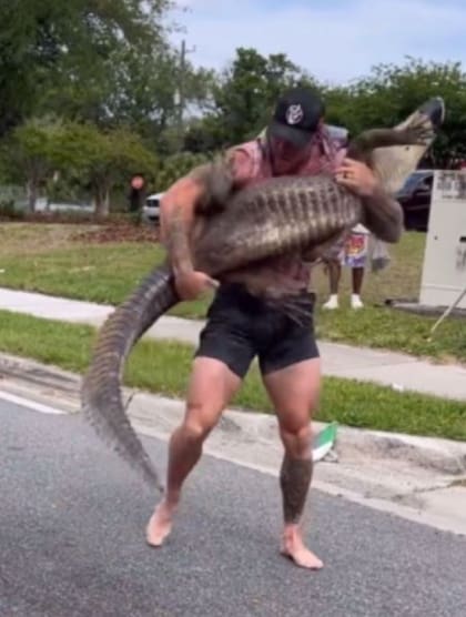 En cuestión de segundos, el exmarine redujo al cocodrilo en las calles de Jacksonville, Florida