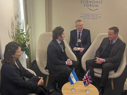 En Davos, el presidente Javier Milei y la canciller argentina Diana Mondino se reunieron con Cameron. 