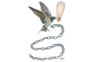 En defensa del liberalismo