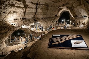 Un lanzador de dardos de 6500 años y puntas con veneno: el hallazgo en una cueva