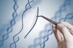 Una nueva técnica abre la puerta a la edición a gran escala del ADN para curar enfermedades