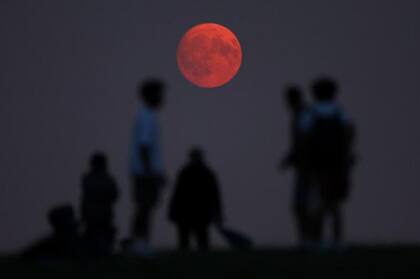 En diciembre de 2025 se registrará la última Superluna del año y podrá observarse a simple vista (Archivo)