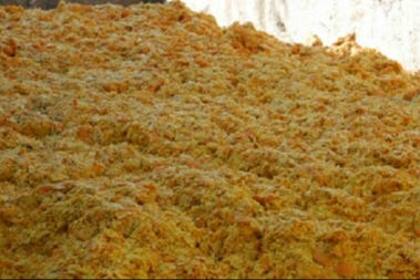 En diferentes experiencias de campo se observa que el bagazo fermentado posee mayor aceptación por parte de los animales que el fresco