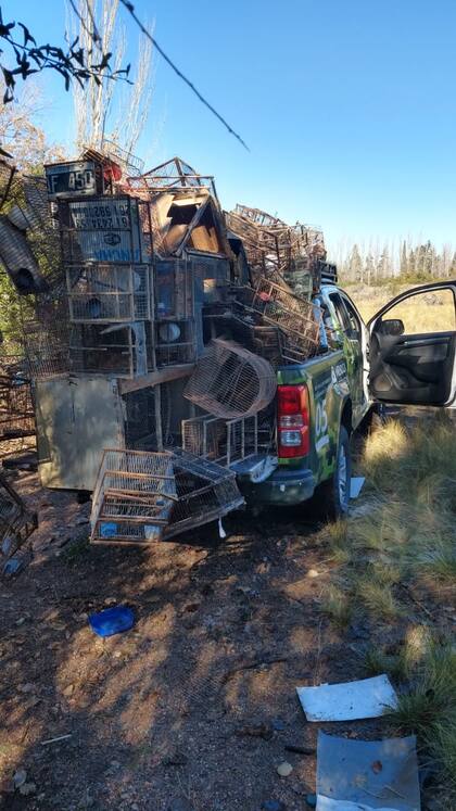 En diversos operativos se incautaron los receptáculos utilizados para el comercio y tráfico ilegal de la fauna autóctona.