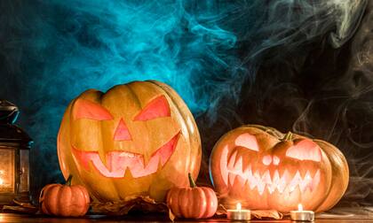 En Dollar Tree venden unas calabazas decorativas cubiertas en terciopelo a US$1,25; la versión de Target cuesta US$17 más caro