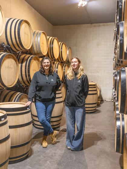 En Domaine de Fontenille coordinan visitas por la bodega.