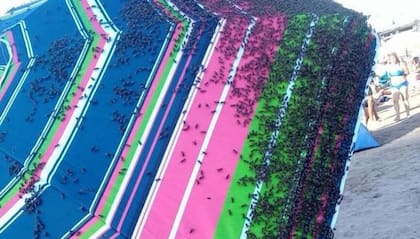 Dos playas céntricas de Mar del Plata sufrieron una invasión de avispas