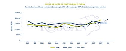 En efecto, “el porcentaje que aportan los corrales ha ido disminuyendo en los últimos meses; tras haber alcanzado un pico del 42% en junio actualmente representa apenas un 34% del total de vaquillonas que llegan a faena”