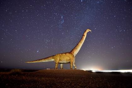 En el norte a Trelew hay una copia en tamaño real del Patagotitan