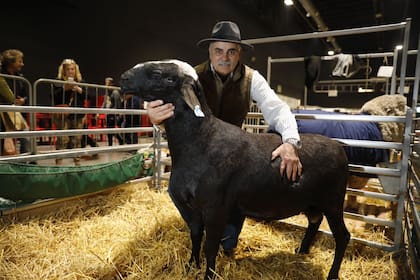 En el 2022, por primera vez, Sergio Taffarel llegó a la Exposición de Palermo con sus ovinos de la raza Santa Inés