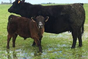 En el agro piden que las restricciones no afecten a la producción