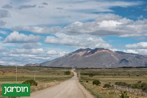 Qué es un ecotono y por qué es uno de los paisajes más ricos de la Patagonia