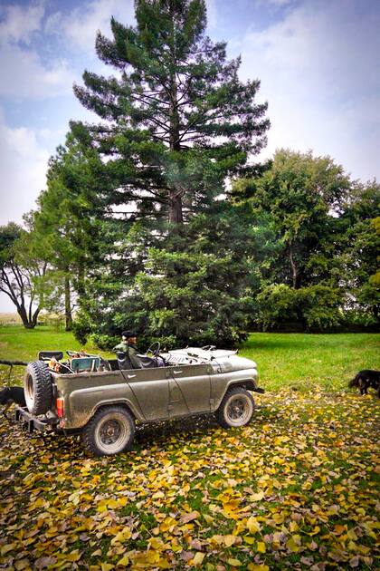 En el arboretum de Pringles, los visitantes concurren para conocer el arboretum.
