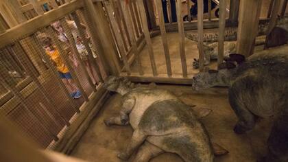 En el arca hay reproducciones de dinosaurios