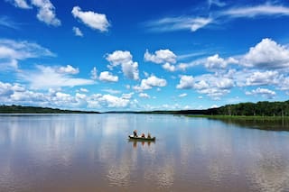 La reserva silvestre donde se puede ver una de las aves más difíciles de avistar en Argentina