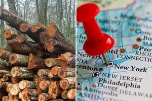 La multa de hasta US$15.000 que puede afectar a un grupo de vecinos de Queens