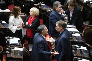 En el bloque de Pro hubo cinco votos afirmativos para tratar la emergencia en discapacidad